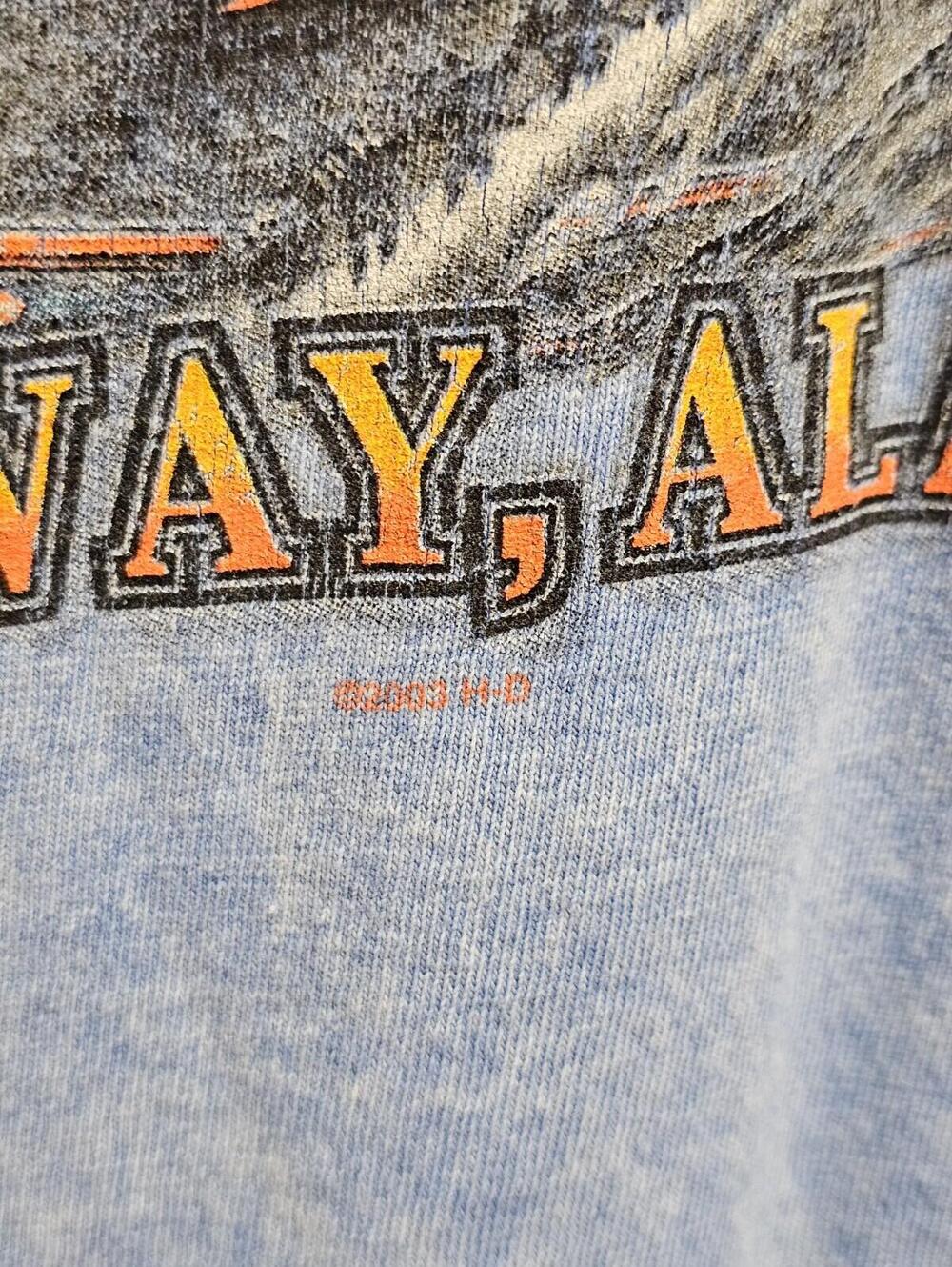 Harley Davidson Long Sleeve Vintage 2003 Chilkoot Skagway Alaska Size XL Blue - Picture 11 of 14